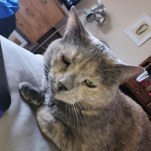 Meet your Posher, Mike